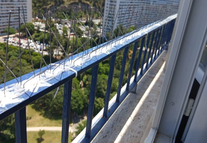 Rambarde de balcon protégé contre les pigeons
