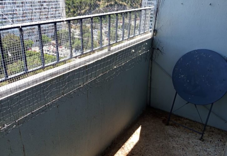 Grillage de protection contre les pigeons